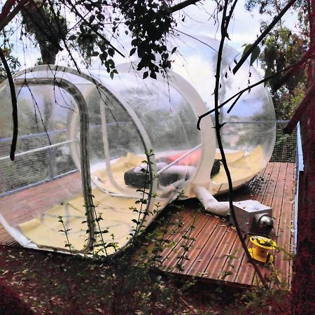 Dans Ma Bulle By C Cibeaulaos Hotel Cilaos Esterno foto