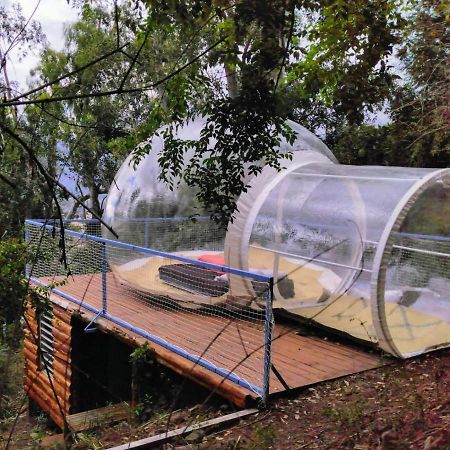 Dans Ma Bulle By C Cibeaulaos Hotel Cilaos Esterno foto