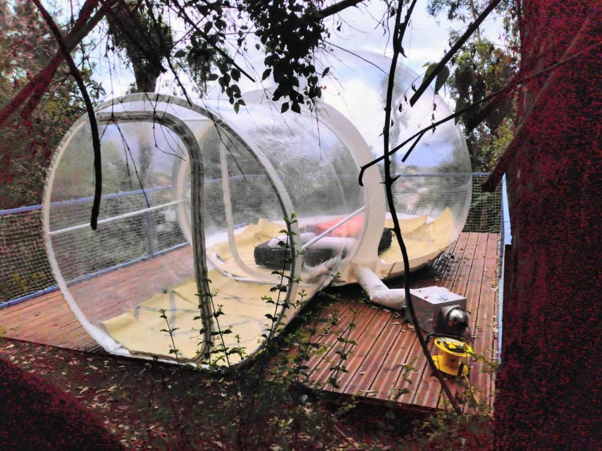 Dans Ma Bulle By C Cibeaulaos Hotel Cilaos Esterno foto