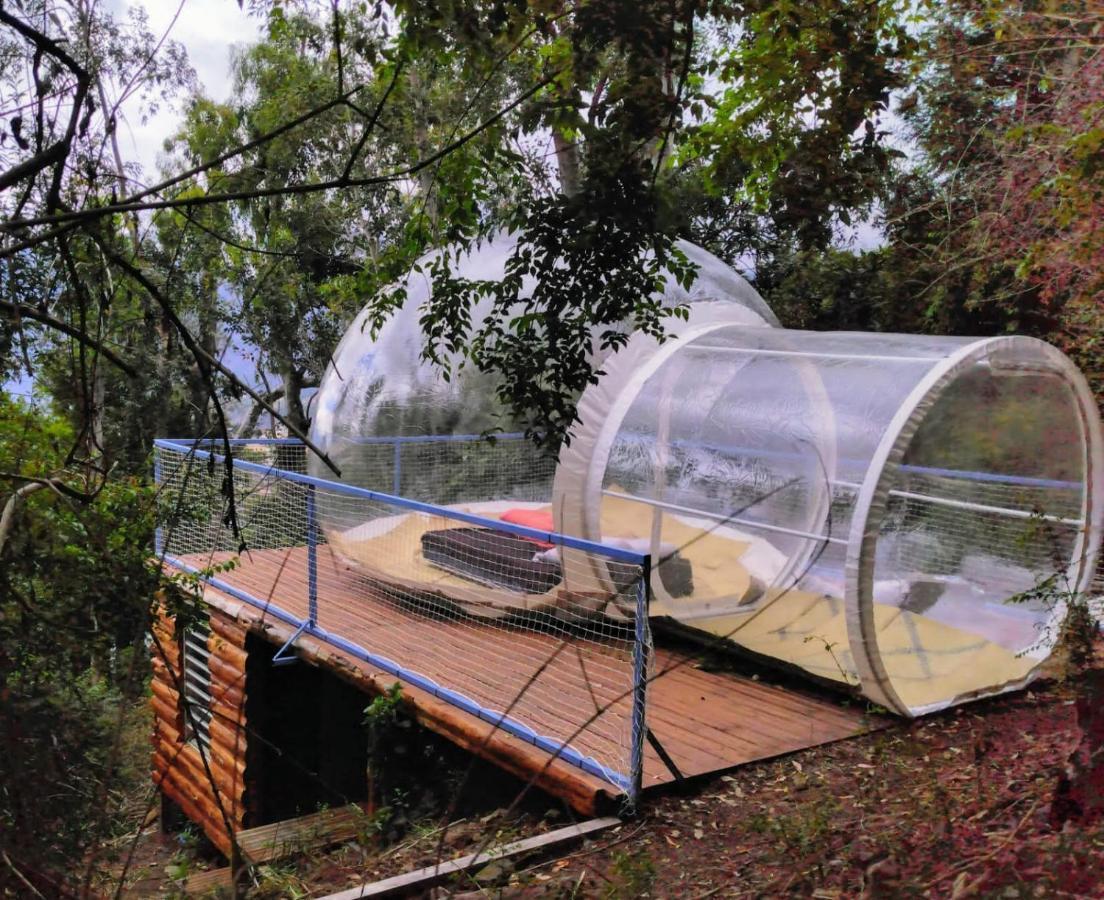 Dans Ma Bulle By C Cibeaulaos Hotel Cilaos Esterno foto